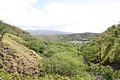 Oahu / Diamond Head Crater