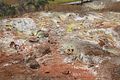 BigIsland / Kilauea Sulphur Banks