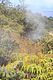 BigIsland / Kilauea Sulphur Banks