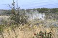 BigIsland / Kilauea Sulphur Banks