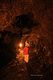 BigIsland / Lava tube