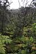 BigIsland / Chain of Craters