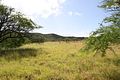 Oahu / Diamond Head Crater